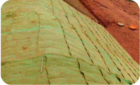 Coir Erosion control blankets