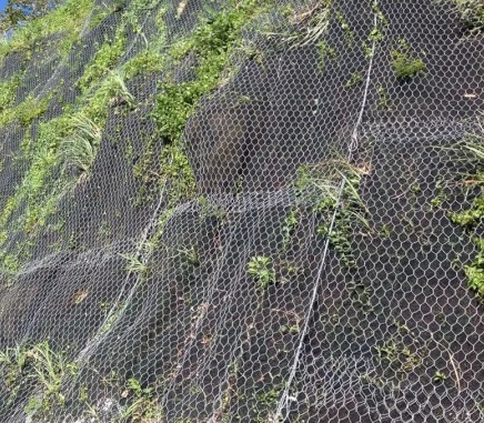 Rackfall Netting